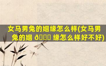 女马男兔的姻缘怎么样(女马男兔的姻 🐅 缘怎么样好不好)
